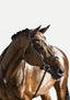 Lumiere Milan Convertible Leather Bridle - Equine Horse Wear 