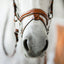 Lumiere Milan Convertible Leather Bridle - Equine Horse Wear 