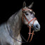 Lumiere Milan Convertible Leather Bridle - Equine Horse Wear 