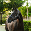 Lumiere Paris Leather Halter - Equine Horse Wear - Black / Cob