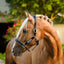 Lumiere Paris Leather Halter - Equine Horse Wear - Black / Cob