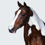 Lumiere Sansa Nosbeandless Bridle - Equine Horse Wear 