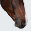 Lumiere Sansa Nosbeandless Bridle - Equine Horse Wear 