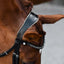 Lumiere Sibella Snaffle Bridle - Equine Horse Wear 