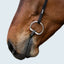 Lumiere Sienna Nosbeandless Bridle - Equine Horse Wear 