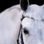Lumiere Solitaire Crystal Browband
