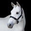 Lumiere Vegas Glitter Leather Halter - Equine Horse Wear 
