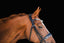Lumiere Adeline Luxury Double Leather Bridle