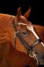 Lumiere Amie Luxury Double Leather Bridle