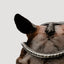 'Arcadia' Luxury Leather Bridle (Cavesson)