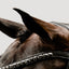 'Arcadia' Luxury Leather Bridle (Cavesson)