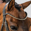 Lumiere Megan Browband