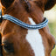 Paris bridle (hanoverian)