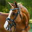 Paris bridle (hanoverian)