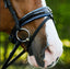 Paris bridle (hanoverian)