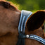 Paris bridle (hanoverian)