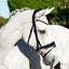Perla bridle