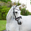 Perla bridle