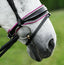 Perla bridle