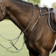 Lumiere Perseus Leather Breastplate