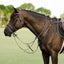 Lumiere Perseus Leather Breastplate