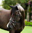 Perseus bridle (convertible)