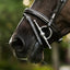 Perseus bridle (convertible)