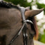 Perseus bridle (convertible)