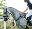 Lumiere Antiqua 5-Point Leather Breastplate