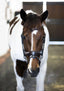 'Mikayla' Leather Bridle (Convertible) - Equine Horse Wear - Black / Cob