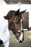 'Mikayla' Leather Bridle (Convertible) - Equine Horse Wear - Black / Cob