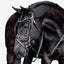 Paloma bridle - Equine Horse Wear - Black / Pony