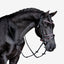 Paloma bridle - Equine Horse Wear - Black / Pony