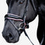 Paloma bridle