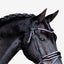 Paloma bridle