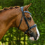 Paris bridle (cavesson)