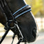 Paris bridle (double)