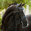 Paris bridle (double)