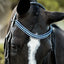 Paris bridle (double)