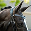 Paris bridle (double)