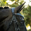 Paris bridle (double)
