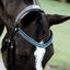 Paris bridle (double)