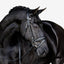 Penny bridle