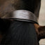 Lumiere Perseus Leather Halter