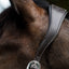 Lumiere Perseus Leather Halter