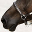 Lumiere Perseus Leather Halter