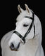Platinum Signature Show Hunter Bridle - Equine Horse Wear - Black / Pony-Black / Cob-Black / Hack-Black / Warmblood-Brown / Pony