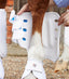 Premier Equine Air Cooled Original Eventing Boots - Equine Horse Wear 
