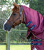 Premier Equine Akoni 0g Turnout Rug with Classic Neck Cover - Equine Horse Wear 