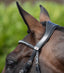 Premier Equine Anatomical Shaped Headpiece - Equine Horse Wear 
